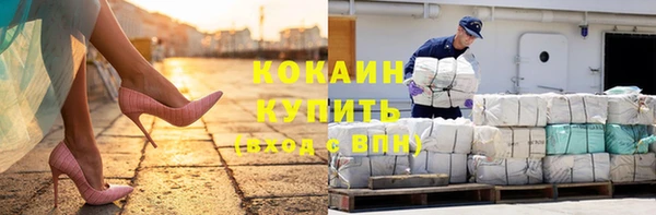 индика Рославль
