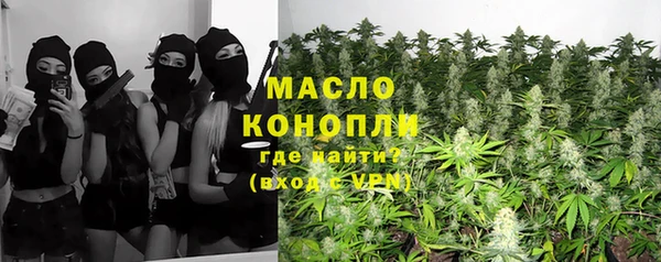 индика Рославль